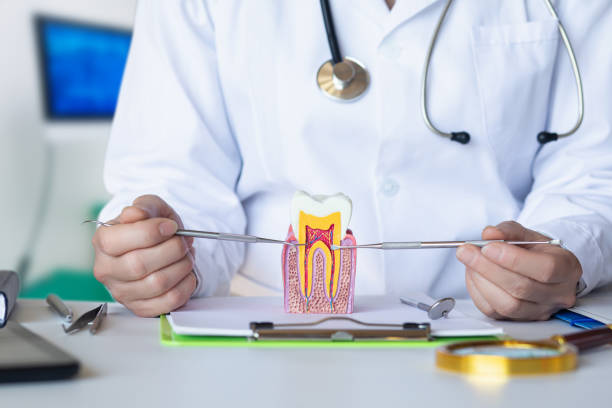 Best Emergency Root Canal Treatment in Eleanor, WV